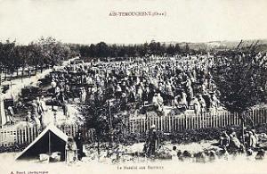 AIN TEMOUCHENT 053